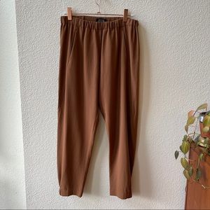 Aritzia Babaton • dexter pants